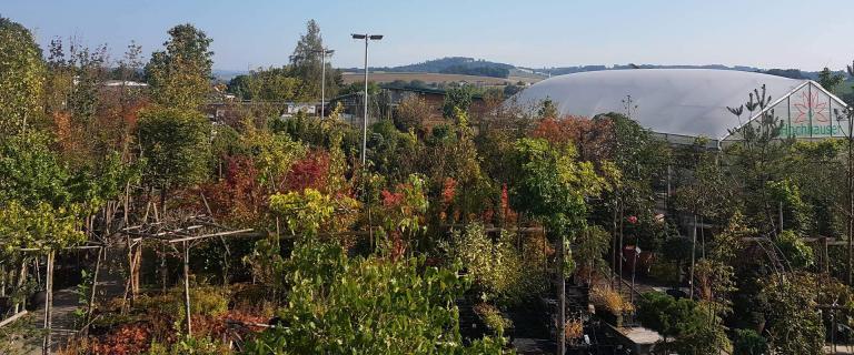 baumschule gartengestaltung hochhauser