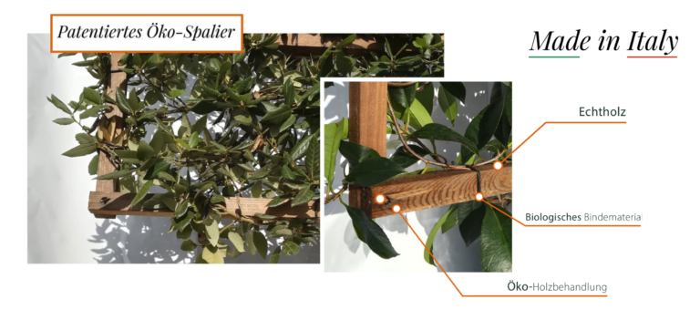 Sichtschutz 1 Bio ÖKO Spalier