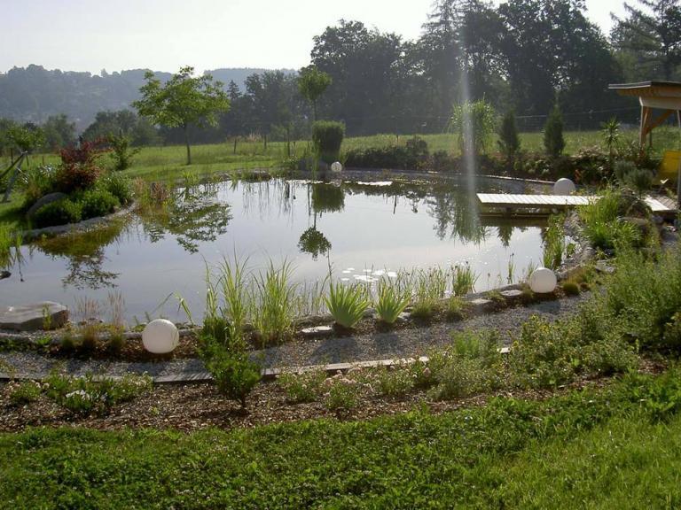 teich gartengestaltung